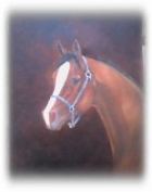 Artist Original Oil Painting - Horse - IN PRIVATE COLLECTION